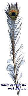 PEACOCK FEATHER 