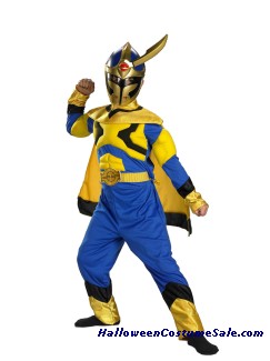 SPECIAL RANGER MUSCLE TORSO CHILD COSTUME