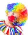Rainbow Clown Wig - Child.