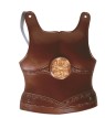 Gladiators Chest Armour - Child One size.