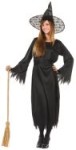 Witch Costume includes dress, sash and hat.