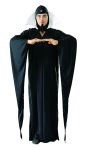 Sorcerer costume includes : Robe with elongated sleeves, stand up collar and hood.  Robe is approximately, 58"-60".  