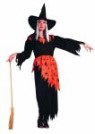 Halloween Witch costume includes dress only.