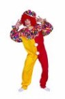 Circus clown child costume includes the jumpsuit &amp; hat. Wig is not included.