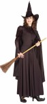 Classic Witch Adult Costume - One Witchy Woman! Hat with attached scarf, cape, top and skirt. One size fits most. Broom, stockings, and shoes not included.