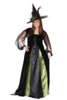 Goth Maiden Witch Adult Costume - Two tone, floor length dress with lace up front, bet shoudler drape and beautiful matching hat.