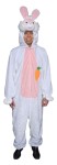 Deluxe plush fur, zipper front jump suit with open face hood, character head attached and embroidered carrot attached.