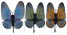 Beautifully colored nylon Monarch Butterfly Wings. Ties around body and packaged in a poly bag with full color header. 28 W x 29 H Adult Size. Straps around the arms.  
